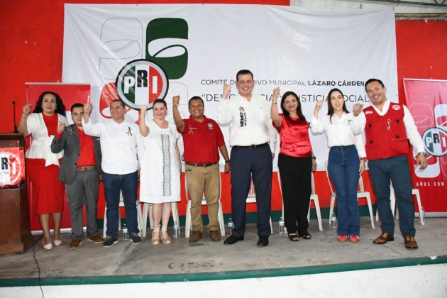 Admite Poder Judicial amparo promovido por el PRI para obligar al Ejército a buscar minas en Michoacán 