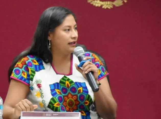 La Senadora Celeste Ascencio presenta iniciativa para fortalecer la inclusión laboral en México 