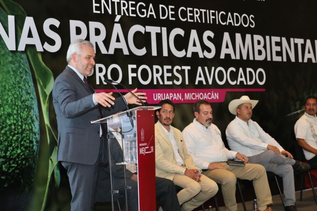 Certificado con Profesores Avocado, el 67 % del aguacate exportado a EUA: Ramírez Bedolla 
