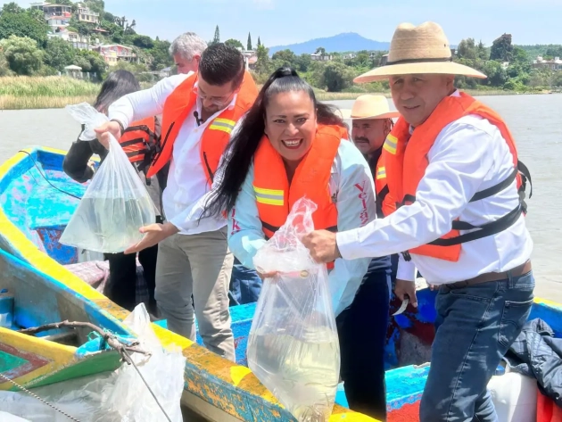 Gobierno de Michoacán siembra 15 mil crías de pescado blanco en el lago de Pátzcuaro 