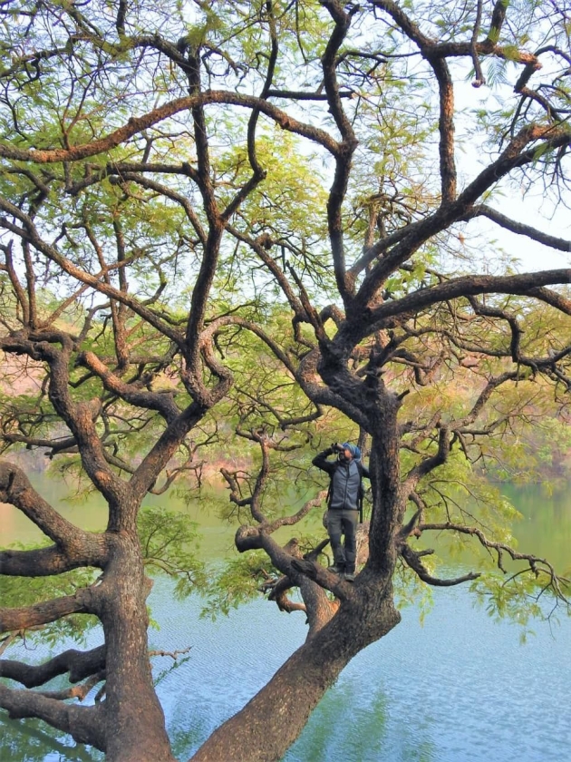 Festival de las Aves impulsa conciencia ambiental y turismo sostenible 