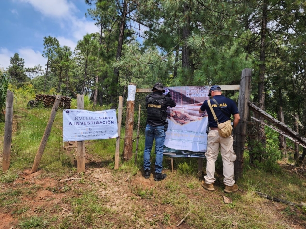 Cumplimenta FGE cateo en predio relacionado con tala ilegal e incendio forestal en Charo 