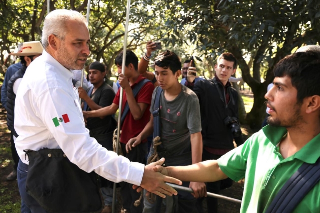 Con más de 3.8 millones de toneladas, Michoacán lidera producción nacional de aguacate, limón y berries