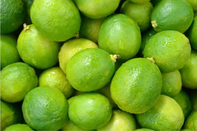 Más de 10 mil productores agropecuarios beneficiados con Plan Michoacán: Sader 