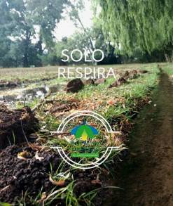 LA SEGUNDA TEMPORADA DEL SITIO DE APRECIACIÃ“N DE LA LUCIÃ‰RNAGA EN EL LLANITO TLALPUJAHUA 