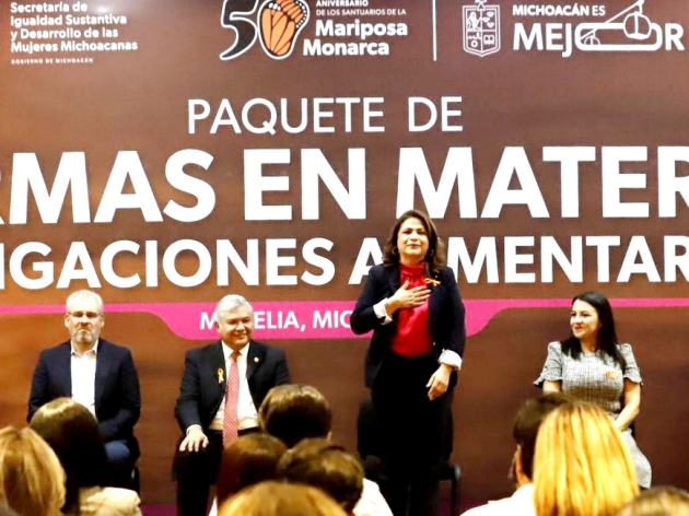 Registra Michoacán casi 8 mil deudores alimentarios: Dip. Fabiola Alanis Sámano  