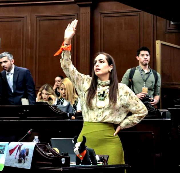 Por un Michoacán que ponga “fin a la crueldad como espectáculo”, respalda la Dip. Sandra Arreola prohibición de Corridas de Toros 