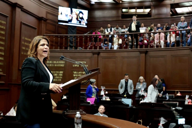 La delincuencia no tiene cabida en la elección judicial: Dip.  Fabiola Alanís 