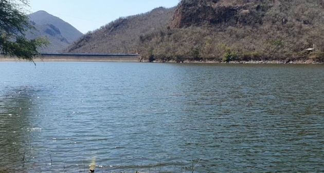 La pesca en la Reserva de la Biósfera Zicuirán-Infiernillo en declive por invasión del pez Diablo  y otras causas