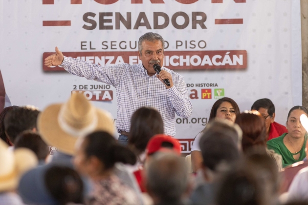 La educación no es una concesión, defenderá Morón su gratuidad desde el Senado 