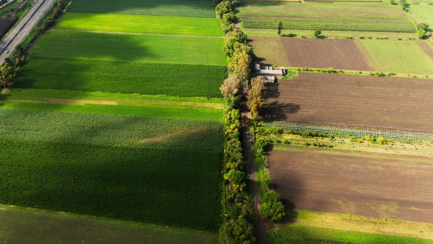 Ofrece Sader seguro agrícola a pequeños productores de temporal 