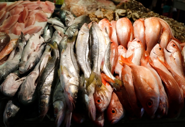 Sigue estas medidas para prevenir enfermedades gastrointestinales al ingerir mariscos 