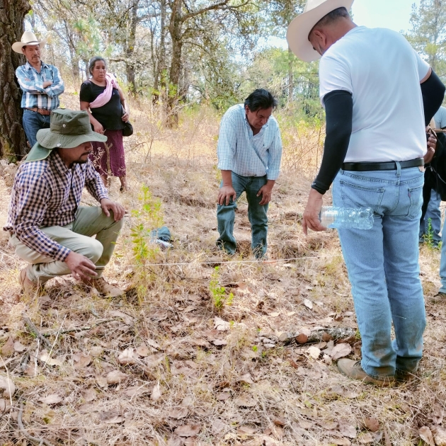 Con estas acciones comunidades se pueden sumar al rescate del lago de Pátzcuaro 