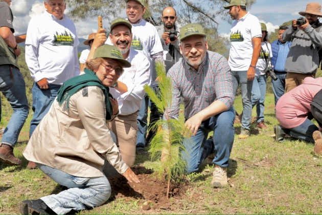 Arrancó reforestación simultánea en 12 municipios de Michoacán 