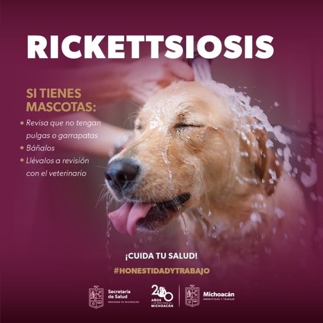 Conoce qué es la rickettsiosis y cómo prevenirla con estos consejos de la SSM 