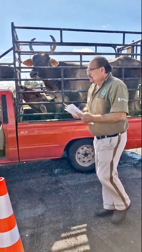 Michoacán aumentó inversión en sanidad vegetal, acuícola y pecuaria: Sader 