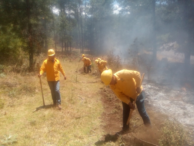 Brigadistas apagan incendio forestal en Madero y controlan 2 en Los Reyes y Ario 