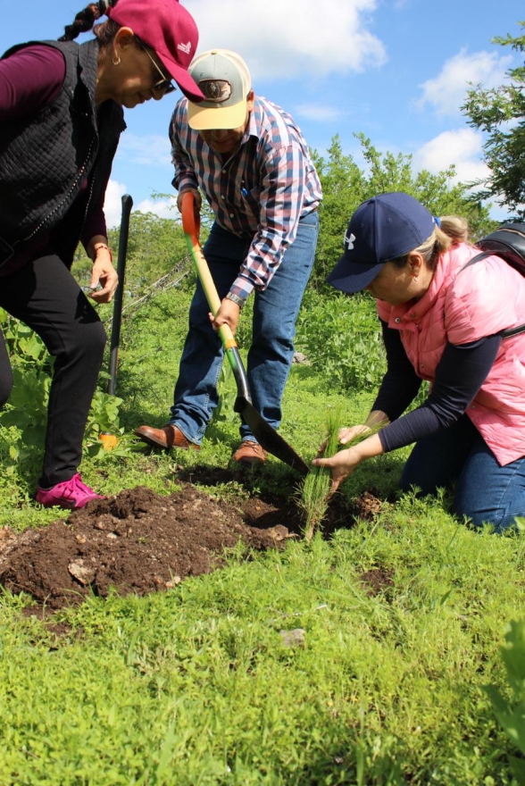 Arranca Gobierno estatal reforestación de Áreas Naturales Protegidas 