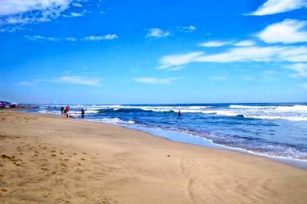 Gobierno y ciudadanía realizan limpieza de Playas de Michoacán en espera de mas Turistas esta Semana Santa 