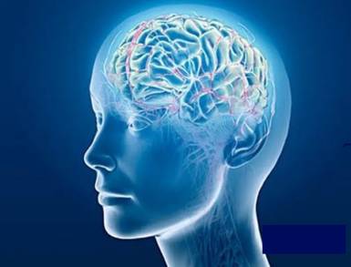 Promueve Gobierno de Michoacán política para la salud mental y combate a las adicciones 