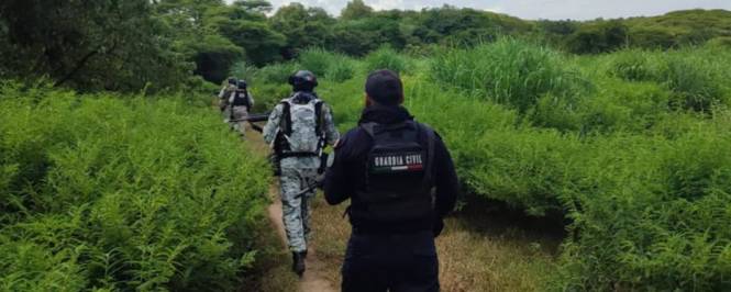 BOI en Aguililla continúa con operaciones para garantizar la seguridad  de la Zona  