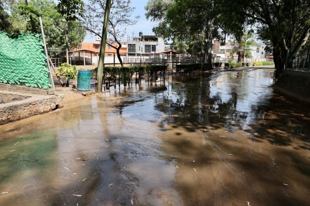¡Emergencia! Animales del Zoo de Morelia en peligro por agua contaminada vertida por el OOAPAS 