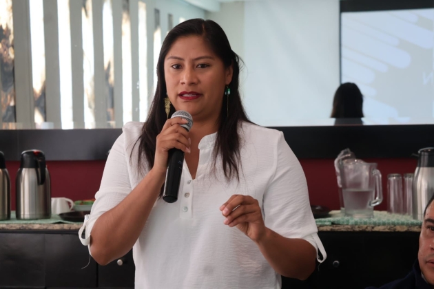 "Michoacán necesita seguridad, transparencia y diálogo para construir un futuro con justicia y desarrollo": Senadora Celeste Ascencio