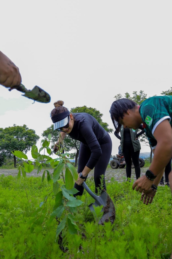 La Dip. Sandra Arreola del PVEM Encabeza Campaña de Reforestación en Cerro Verde