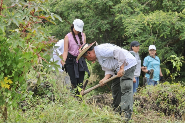 Pinos, fresnos y plantas para Polinizadores serán los ejemplares que se Reforestarán en Morelia 