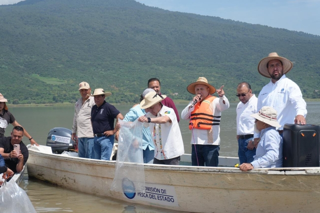 Compesca libera 80 mil nuevas crías de pez blanco en el lago de Pátzcuaro