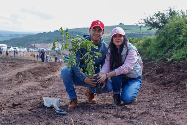 Reforesta SCOP el segundo Anillo Periférico de Morelia con más de 36 mil Árboles Endémicos