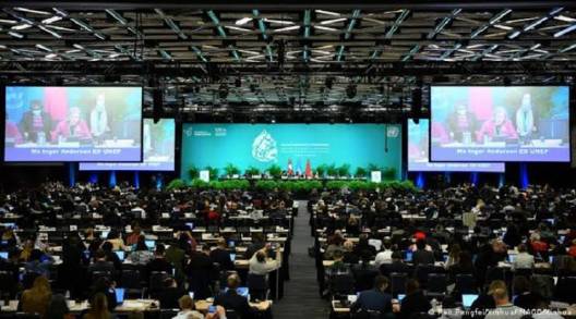 México apoya propuesta de la Presidencia de China e impulsa la adopción del Marco Mundial para la Biodiversidad en la COP15: SRE 