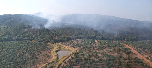 Controlado el incendio forestal en Ario; se tiende por aire y tierra 