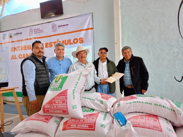 Entrega Sader semilla de avena a más de 300 productores de Queréndaro 
