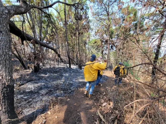 Más de 100 brigadistas forestales atienden cinco incendios en Michoacán 