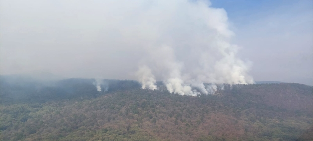 Controlado un 60 % el incendio forestal en Pátzcuaro y Salvador Escalante 