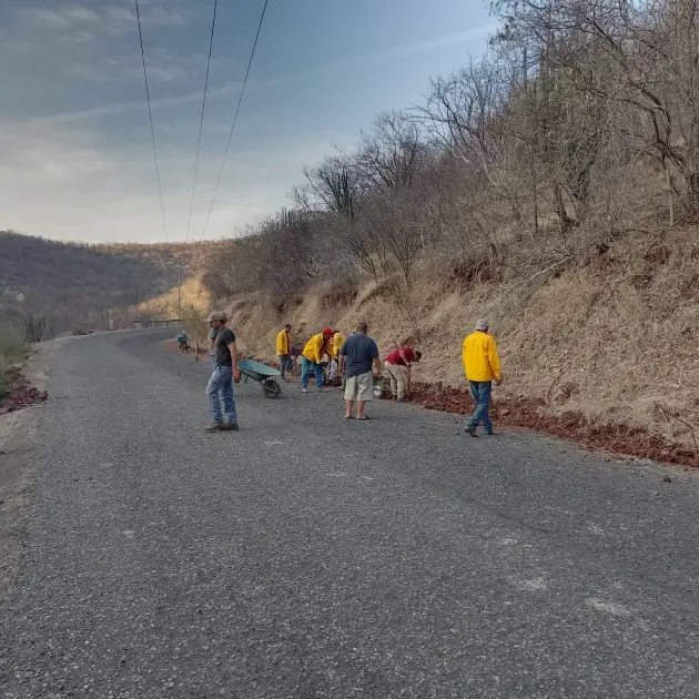 Brigadistas atienden 2 incendios forestales en Coalcomán-Chinicuila y Erongarícuaro 