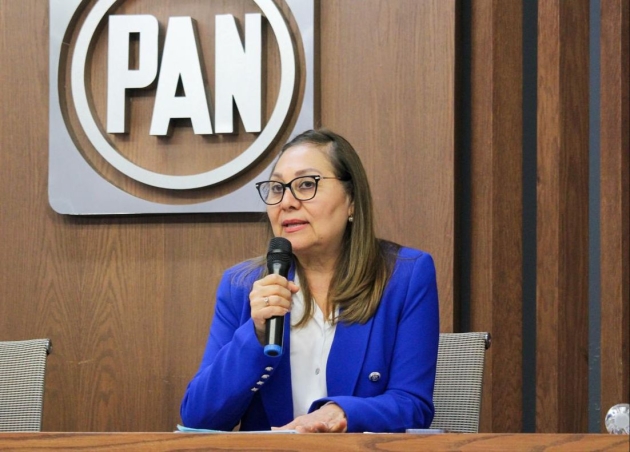 PAN Michoacán exige una investigación a fondo tras ataque a casa de Mary Doddoly 