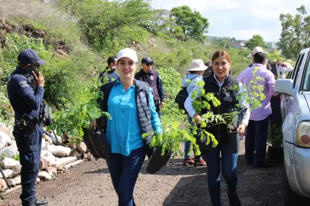 Más de 300 voluntarios reforestan la zona protegida Cerritos del Quinceo 