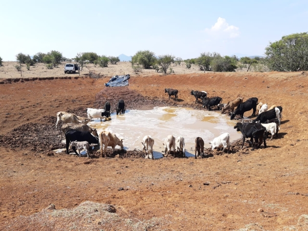 En Churumuco unen esfuerzos contra la sequía                     