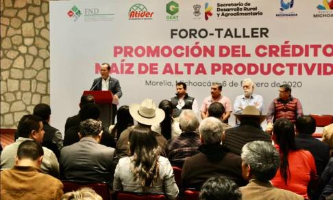 Michoacán trabaja por implementar mejor y  alto rendimiento en el Cultivo de Maíz  
