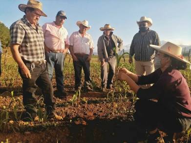 Campesinos de Erongarícuaro optan por erradicar el uso de agroquímicos