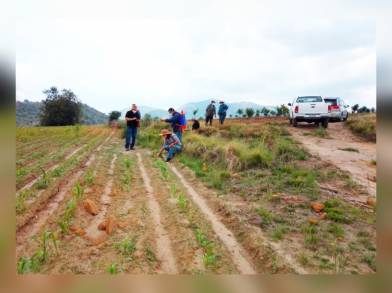Durazno y maíz de Jeráhuaro, al Programa de Agricultura Sustentable