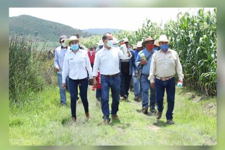 Con Resultados Tangibles se logra Agricultura Sustentable en Michoacán : SEDRUA