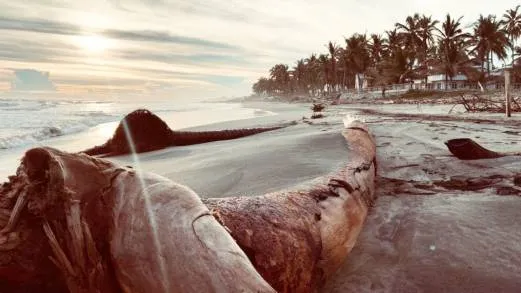 ALERTA PARA LA COMUNIDAD MARÃTIMA â€“ PORTUARIA Y SECTOR PESQUERO DEL PUERTO DE LÃZARO CÃRDENAS, MICHOACÃN 
