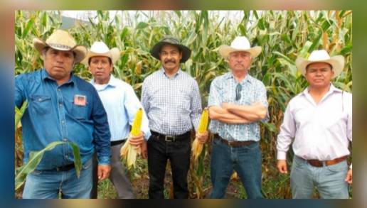 Aporta el campo de Michoacán el 10.7 por ciento del PIB del Estado 