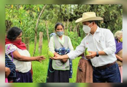 Nuestra Agricultura Sustentable impactó en 80 municipios de Michoacán : SEDRUA 