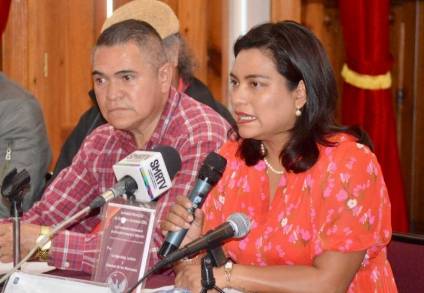 A sumar esfuerzos entre sociedad y gobierno por los derechos humanos de migrantes, convoca la Dip. Eréndira Isauro﻿ 