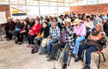 Se suman 89 habitantes de Ario de Rosales y Morelos a Palomas Mensajeras
