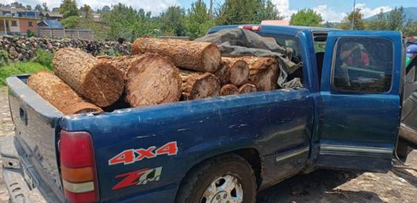 SSP asegura 16 rollos de madera presuntamente procedentes de tala ilegal, en Salvador Escalante 